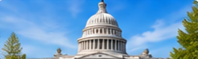 Government and public sector
